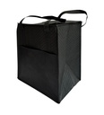 Bolsa Térmica 33x25x38cm